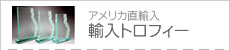 →輸入トロフィー