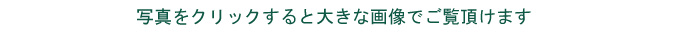 写真をクリックすると大きな画像でご覧いただけます