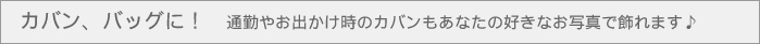 カバン、バッグに!