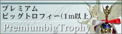 v~ArbOgtB[iPȏj