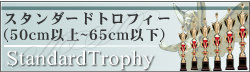 X^_[hgtB[i50cmȏ`65cmȉj
