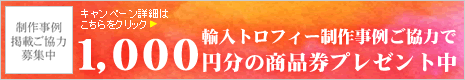 �g���t�B�[�E�D���J�b�v�E�\���|�ƋL�O�i�̔��́y�P�Q�R�g���t�B�[�z