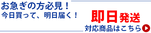 お急ぎの方必見!即納商品