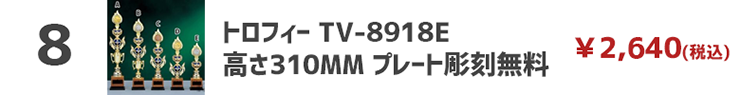 トロフィー TV-8918E ★高さ310mm《A-2》 プレート彫刻無料